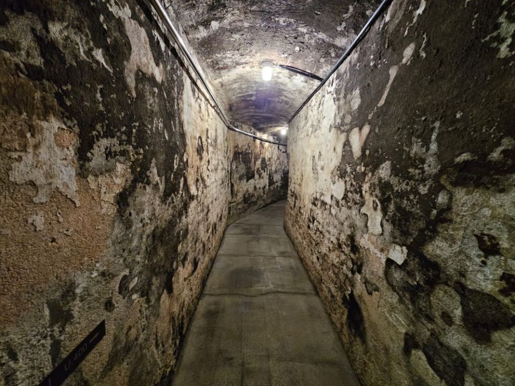 [GALERIE FOTO] Călătorie prin inima Germaniei: Pe urmele muzicii, vinurilor franconiene și castel - Imagine 84