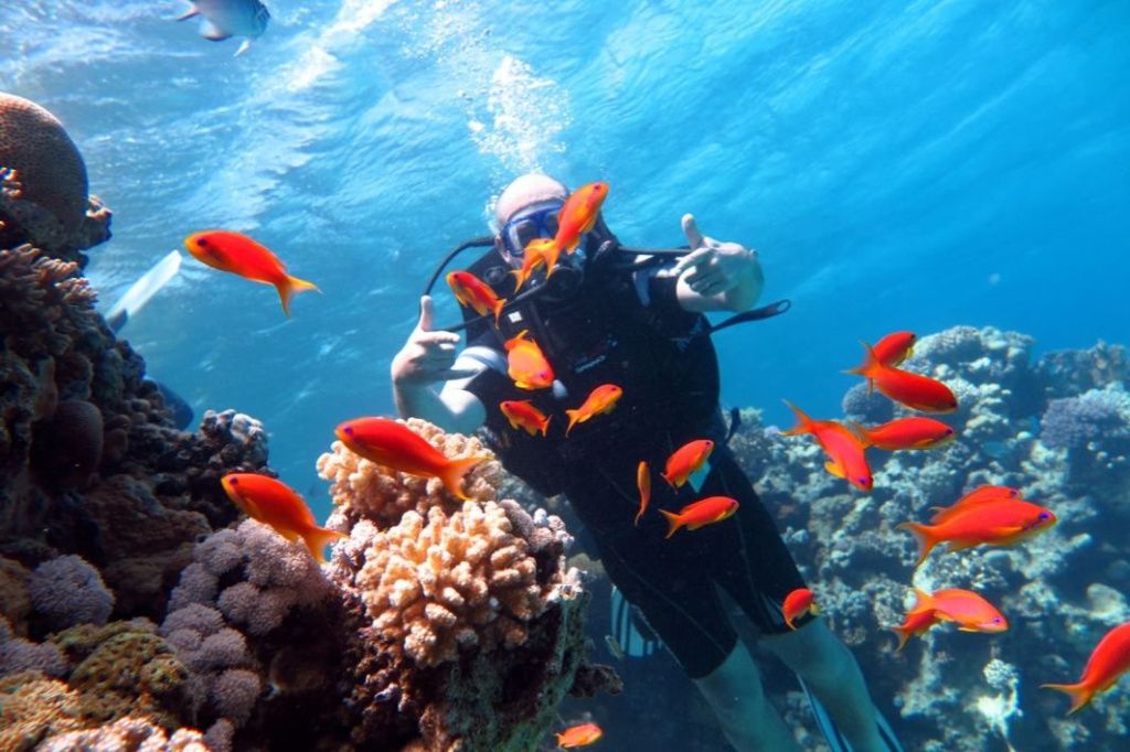 [GALERIE FOTO] Sharm el Sheikh: Locul unde Marea Roșie îți taie răsuflarea și deșertul își d - Imagine 29