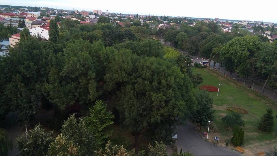 Parcul Motodrom si stadionul Juventus, castigate in instanta de o femeie. Ce face Primaria Capitalei