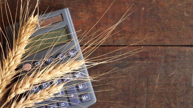Coface: Tot mai multe procese impotriva firmelor care cultiva cererale; crestere de 78% in 2016