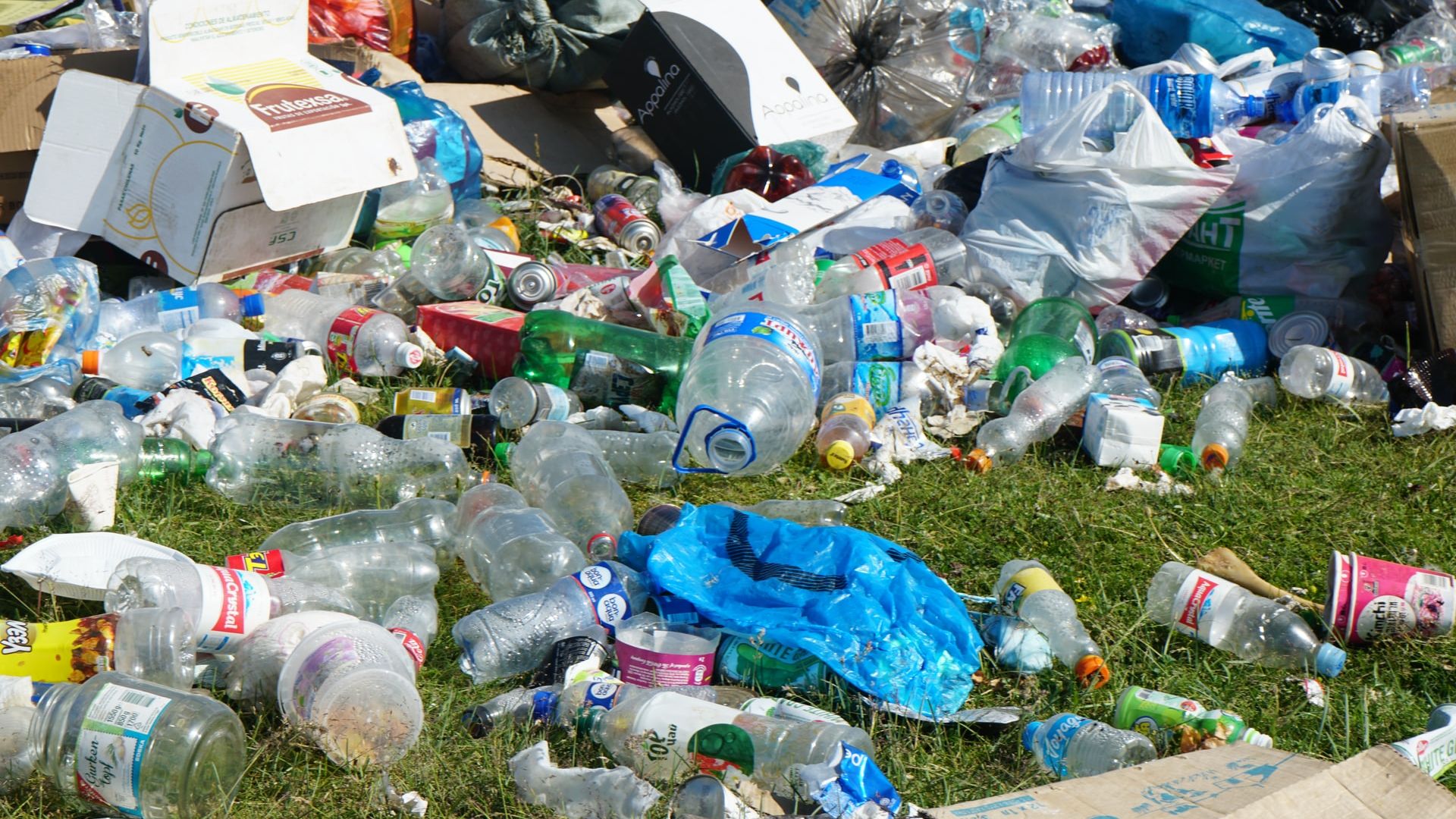 Planeta este acoperită de tot mai multe deșeuri, iar cantitatea lor a crescut, în lume, și în 2022