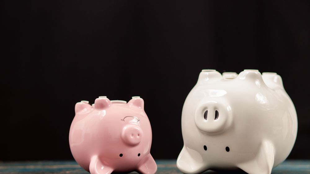CES: Aviz negativ pentru OUG-ul ce ar permite introducerea de taxe din scurt