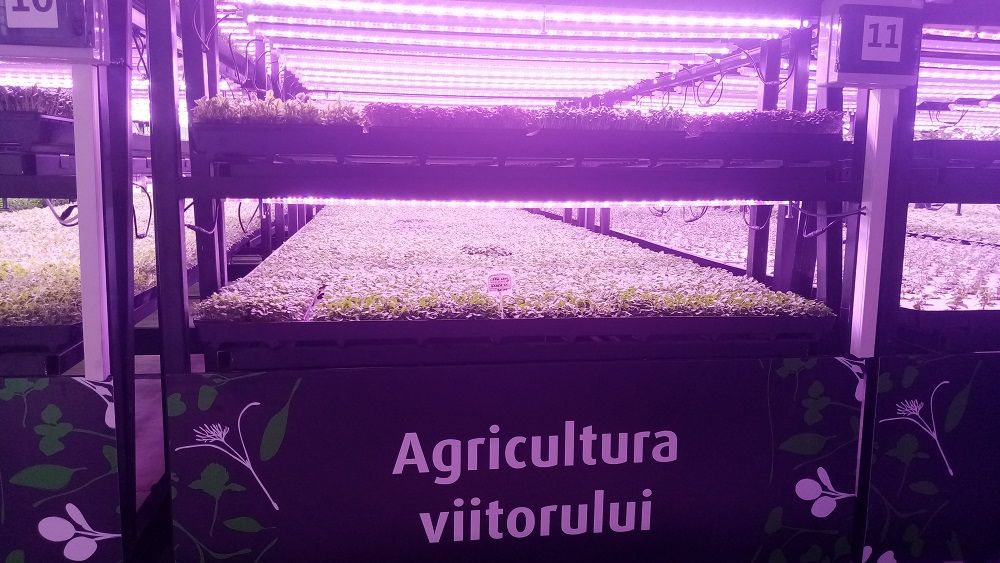 Kaufland și producătorul de microplante Ultragreens au inaugurat prima seră verticală din România