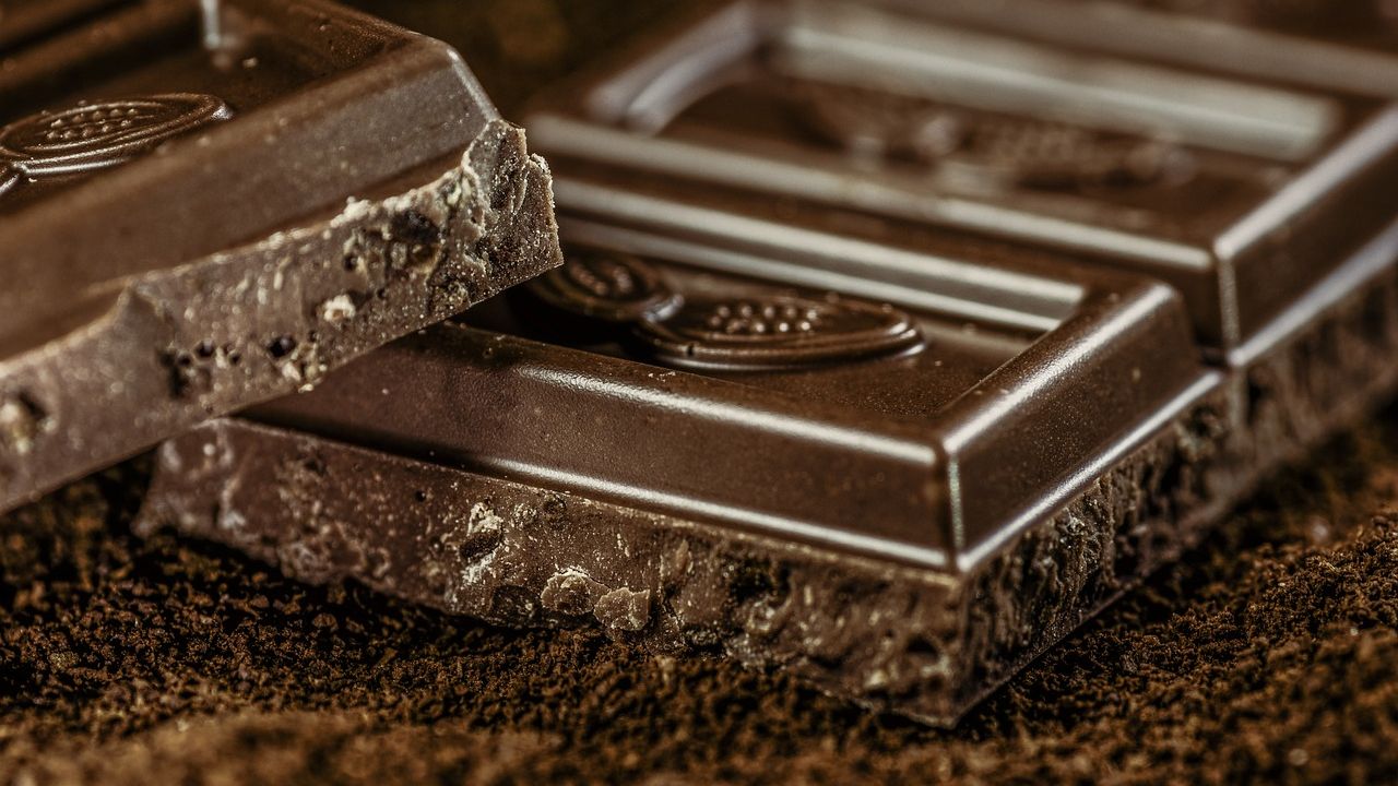 VIDEO | Arborii de cacao, în pericol din cauza schimbărilor climatice. Cum arată ciocolata din boabe de laborator