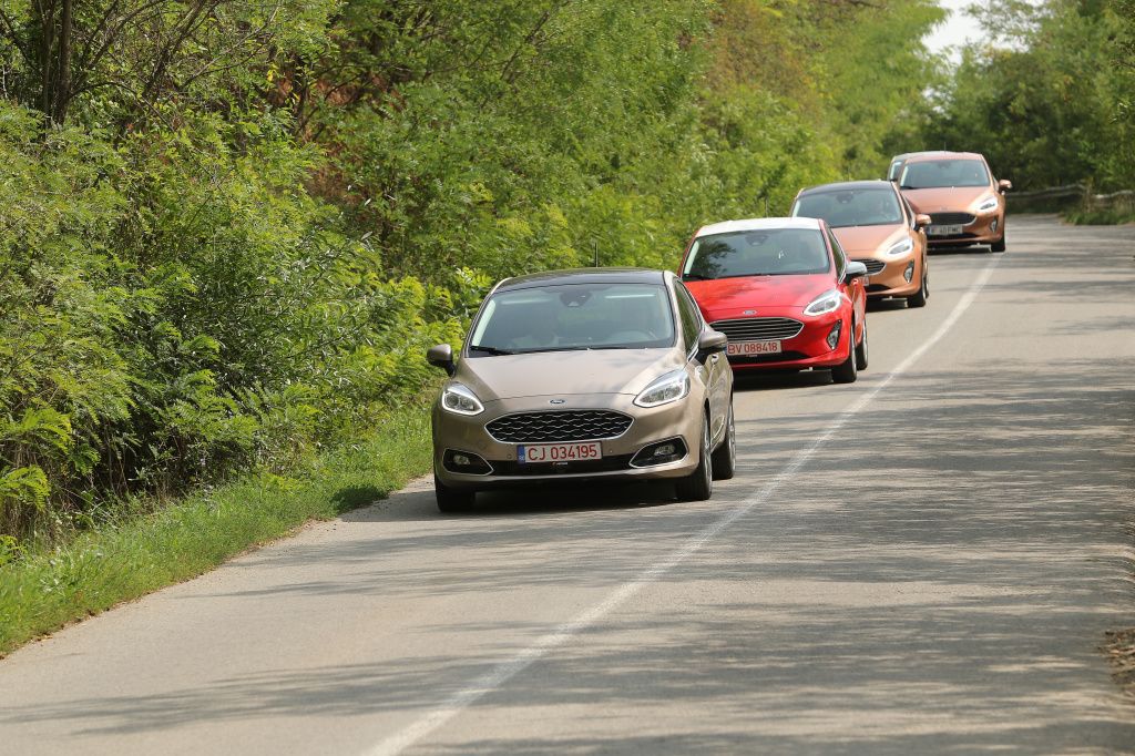 Ford Fiesta - Imagine 16