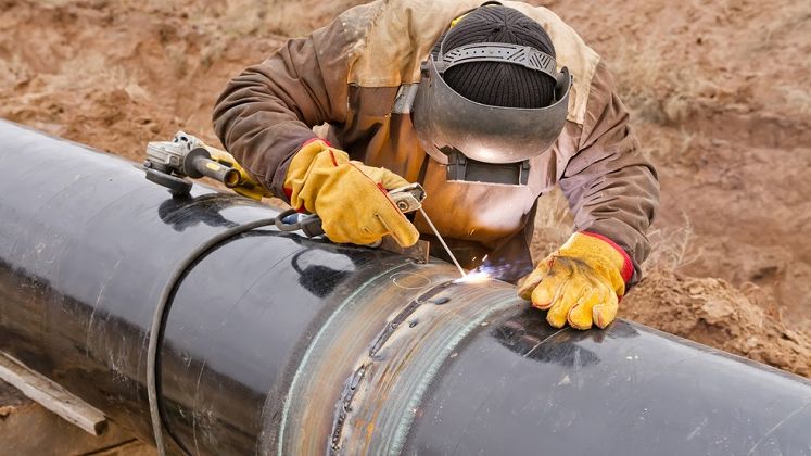 Meseria practicata de din ce in ce mai putini romani, care aduce un salariu de peste 1.000 de euro