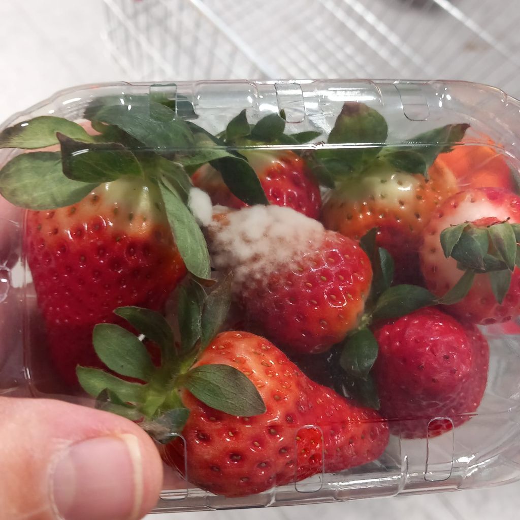 ANPC a mers peste Lidl, Carrefour, Mega Image și ceilalți mari retaileri: amenzi de peste 1,2 mil. - Imagine 5