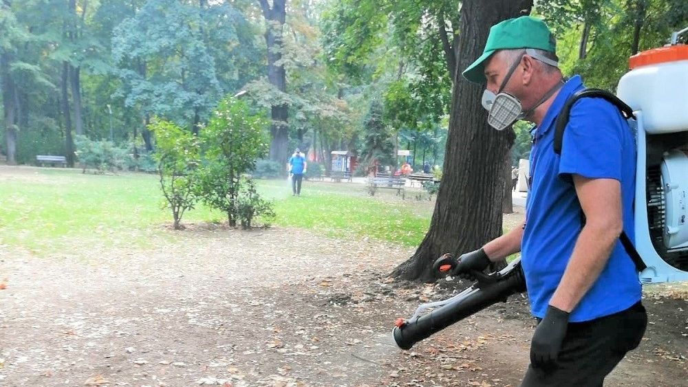 Tratamente de deratizare și dezinsecție în mai multe școli din București