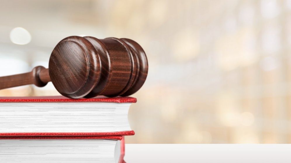 Ministrul Mediului: Cred ca, in primele saptamani din februarie, vom putea sa adoptam bugetul in Parlament