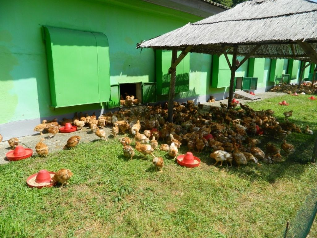 Agricola Bacau - Imagine 13