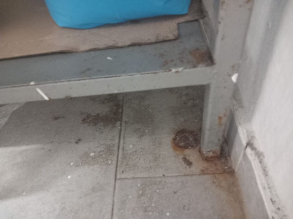 FOTO | Ce a descoperit ANPC la un restaurant popular de pe litoral. Activitatea a fost oprită - Imagine 5