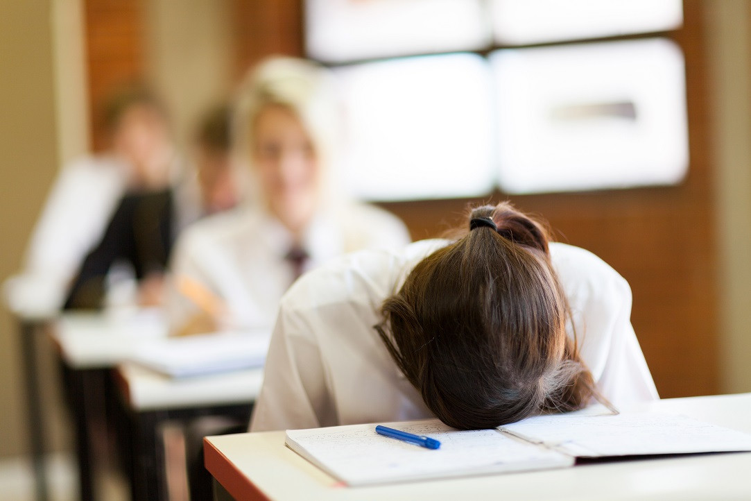 ALERTĂ în învățământul dual. Peste 12.000 de elevi de clasa a IX-a rămân fără bursă: Urgența este maximă