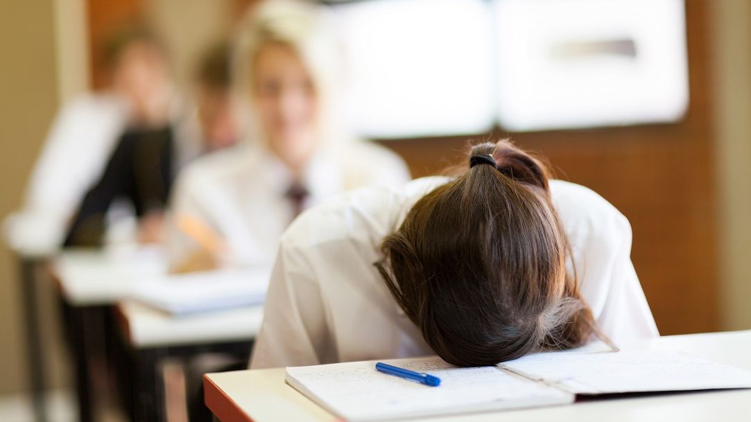ALERTĂ în învățământul dual. Peste 12.000 de elevi de clasa a IX-a rămân fără bursă: Urgența este maximă