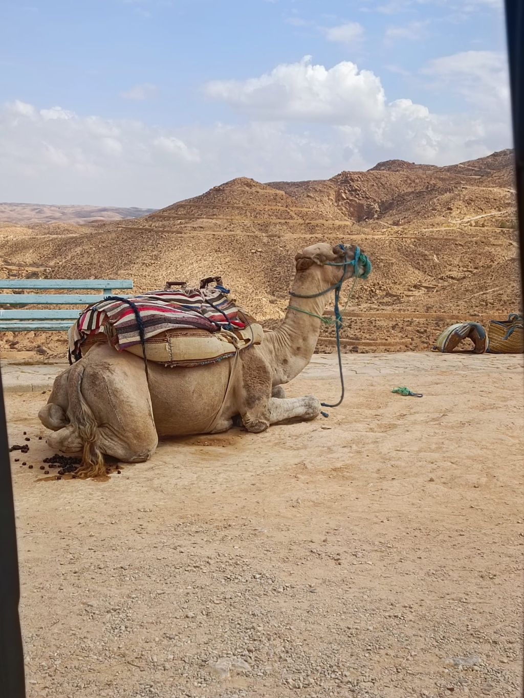 GALERIE FOTO: Vacanță în Tunisia, cu aventuri în deșert și oaze naturale, dar și cu stațiuni - Imagine 32