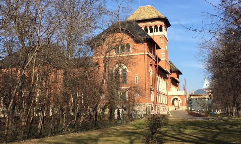 Cinema sub cerul liber: o săptămână cu filme premiate și producții-cult în București