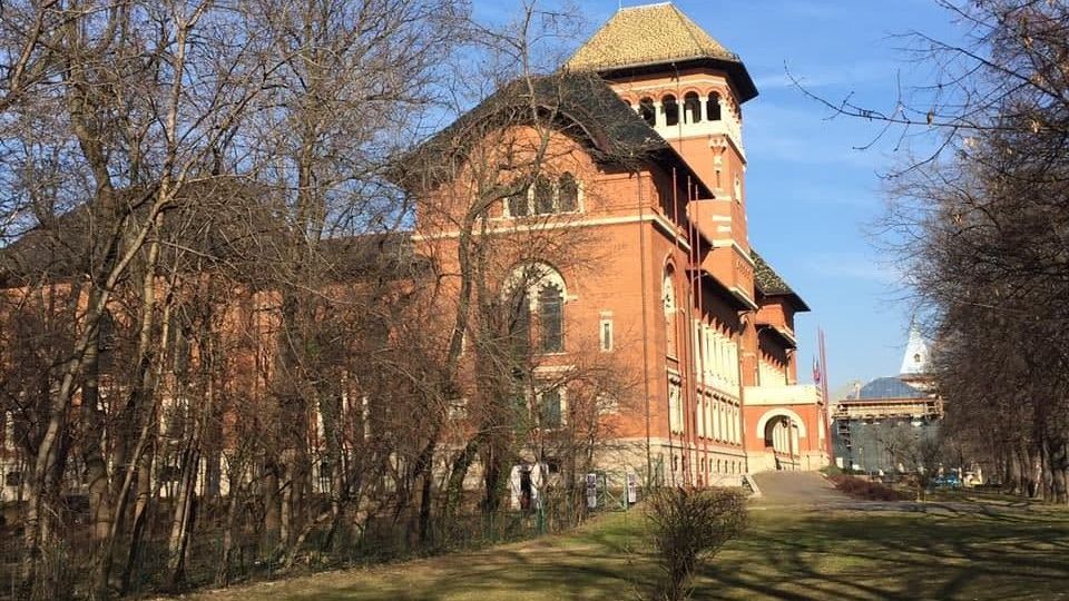 Cinema sub cerul liber: o săptămână cu filme premiate și producții-cult în București