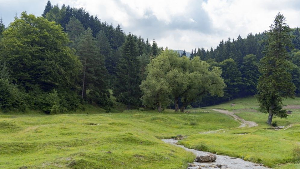 Prognoza meteo vineri, sambata si duminica: Weekend cu temperaturi de toamna