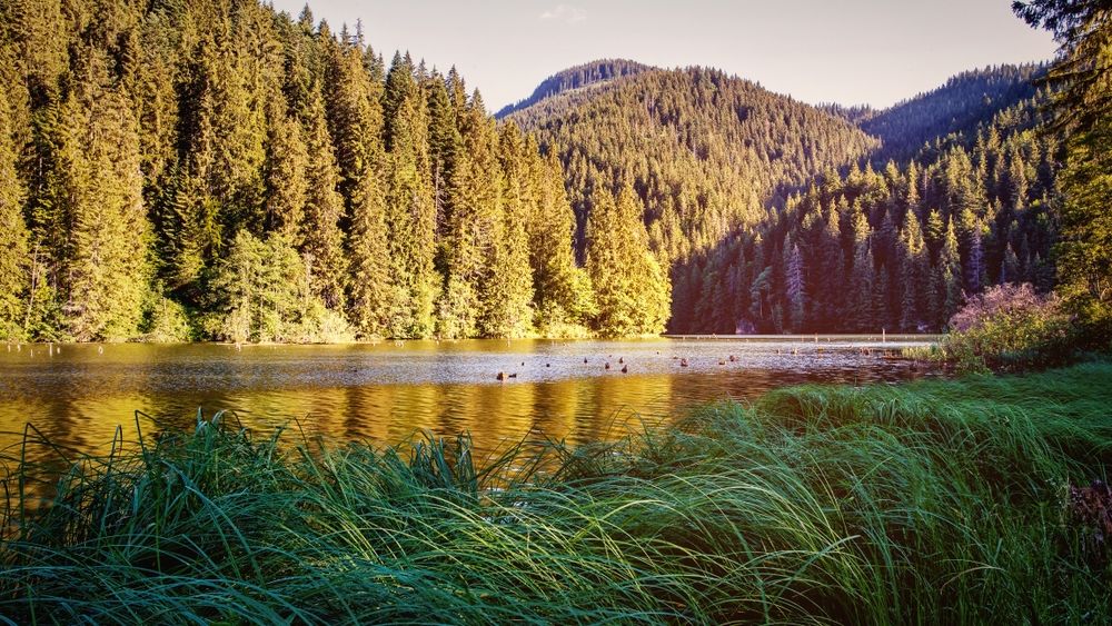 Sapte localitati cu potential turistic ridicat, pe lista zonelor cu prioritate la investitii