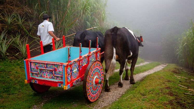 TOP cele mai fericite tari din lume: iata de ce sa le vizitezi