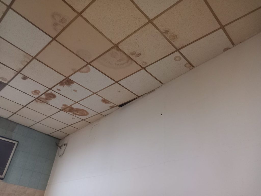 Ce a descoperit ANPC la o fabrică de pâine din București: mii de pâini retrase de la vânzare - Imagine 23