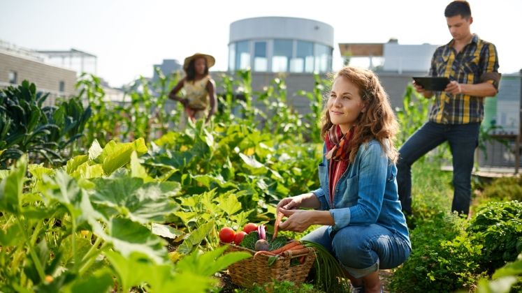 Esop: 56% dintre cladirile de spatii de birouri noi livrate in 2017-2019 vor avea gradini urbane