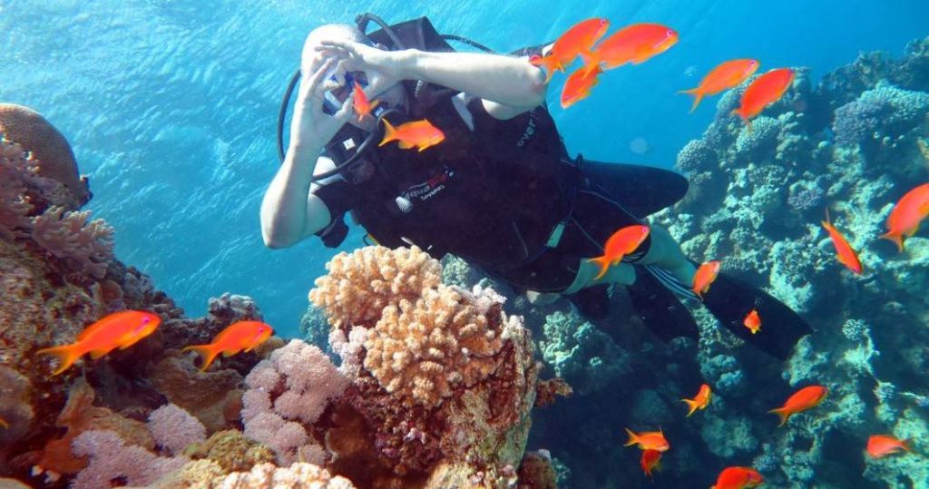 [GALERIE FOTO] Sharm el Sheikh: Locul unde Marea Roșie îți taie răsuflarea și deșertul își d - Imagine 28