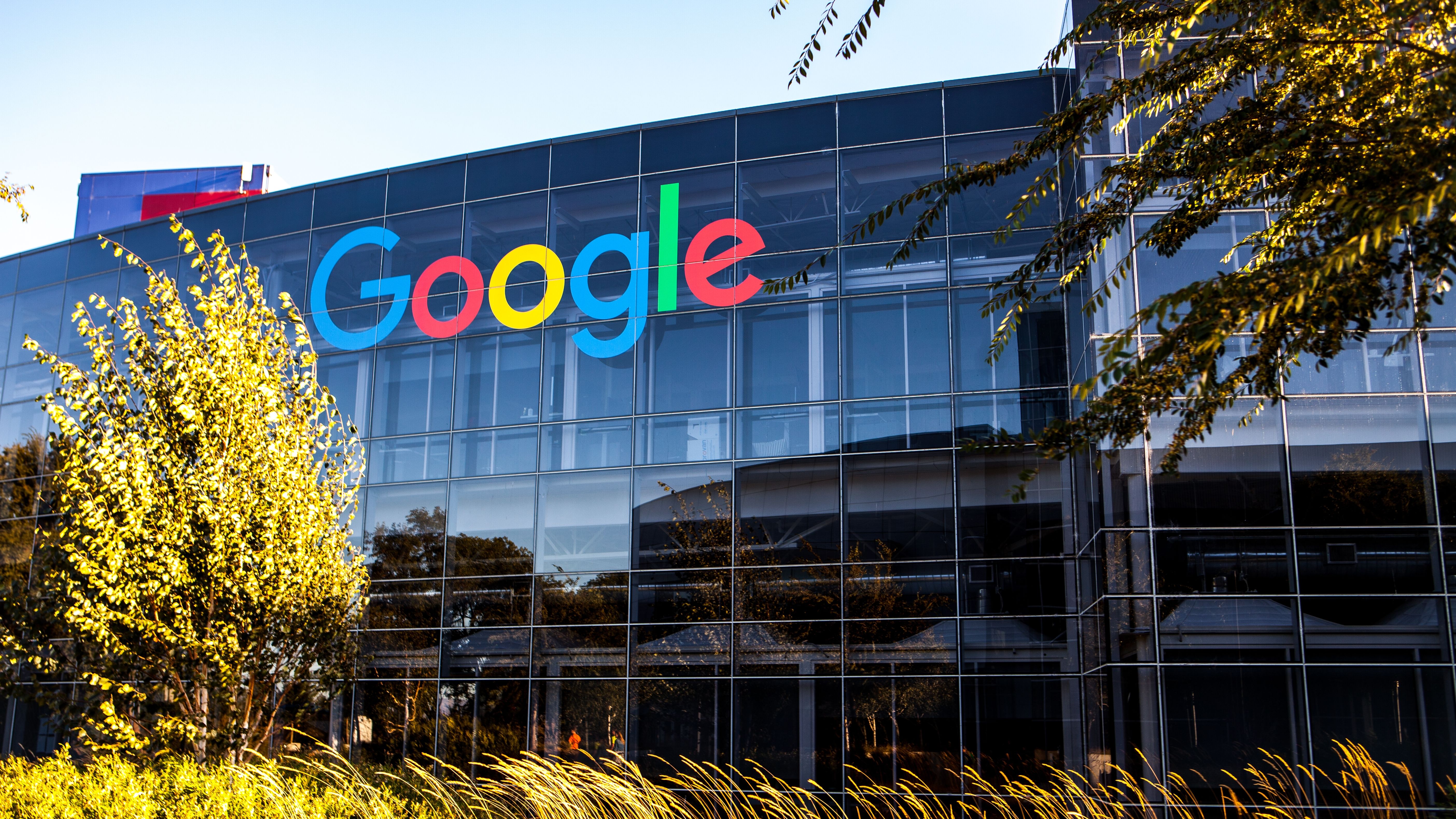 Ce a invatat Google de la angajatii sai si de ce este important ca tinerii sa stie asta?