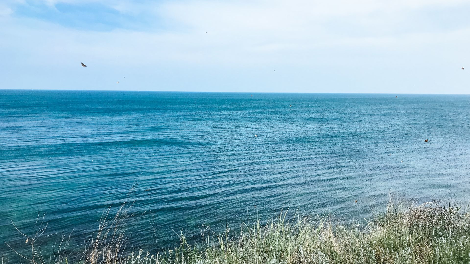 ANAT: Litoralul românesc este gol, iar pierderile se ridică undeva la 60 de milioane de euro