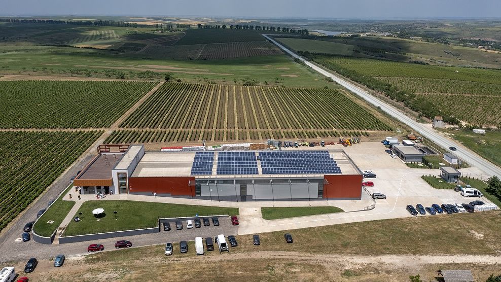 Noutăți de pe piața vinurilor. Alira Grand Vins deschide crama Aliman cu o investiție de peste 5 milioane de euro