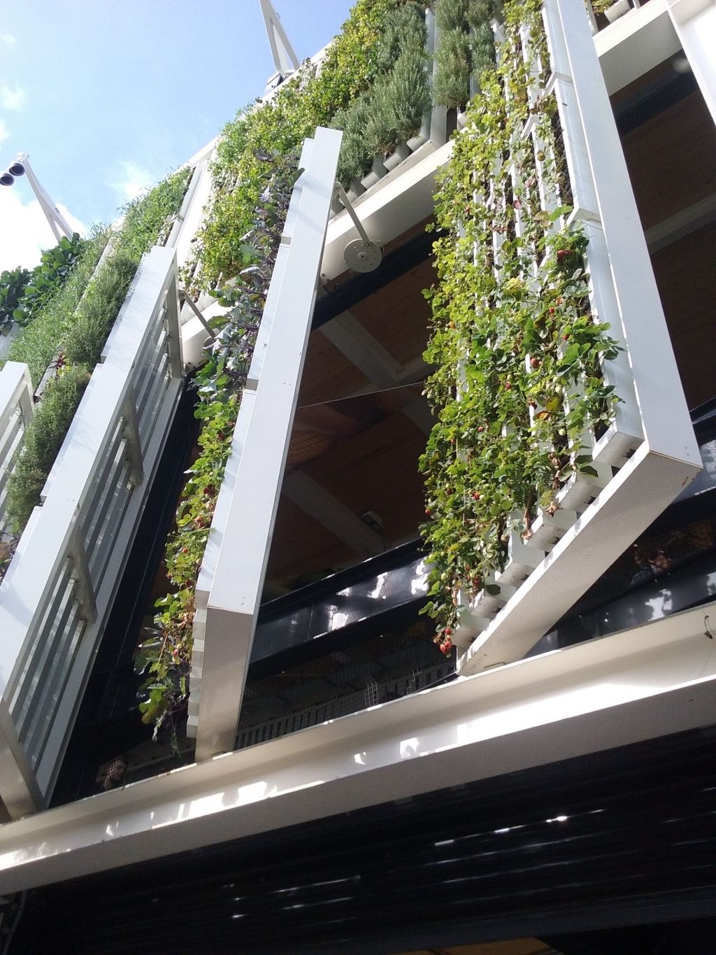 Expo Milano - Imagine 1