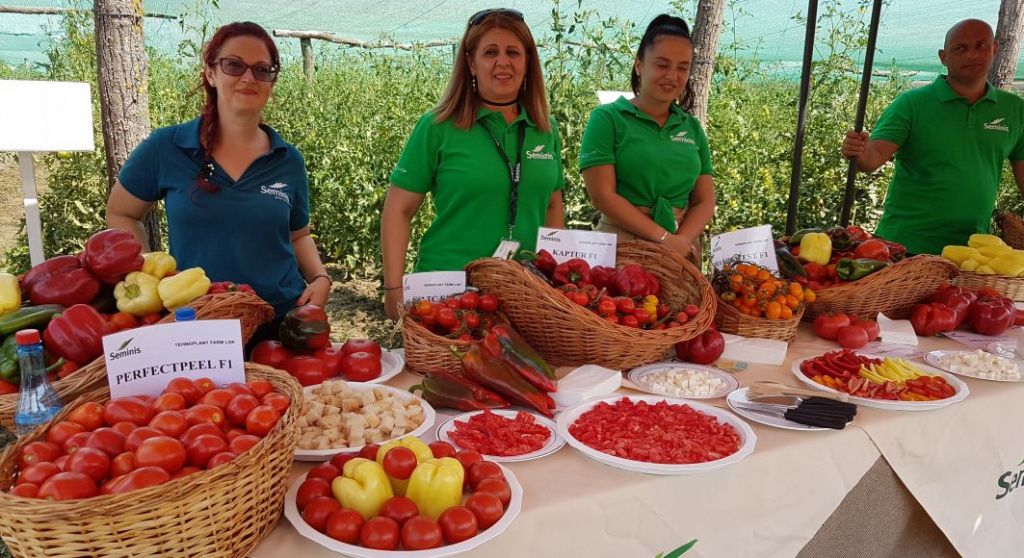 Ferma Scanteia Lidl - Imagine 3