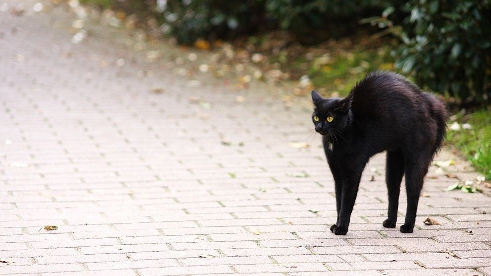 eMAG anunta noi oferte de Black Friday prin aplicatia mobila