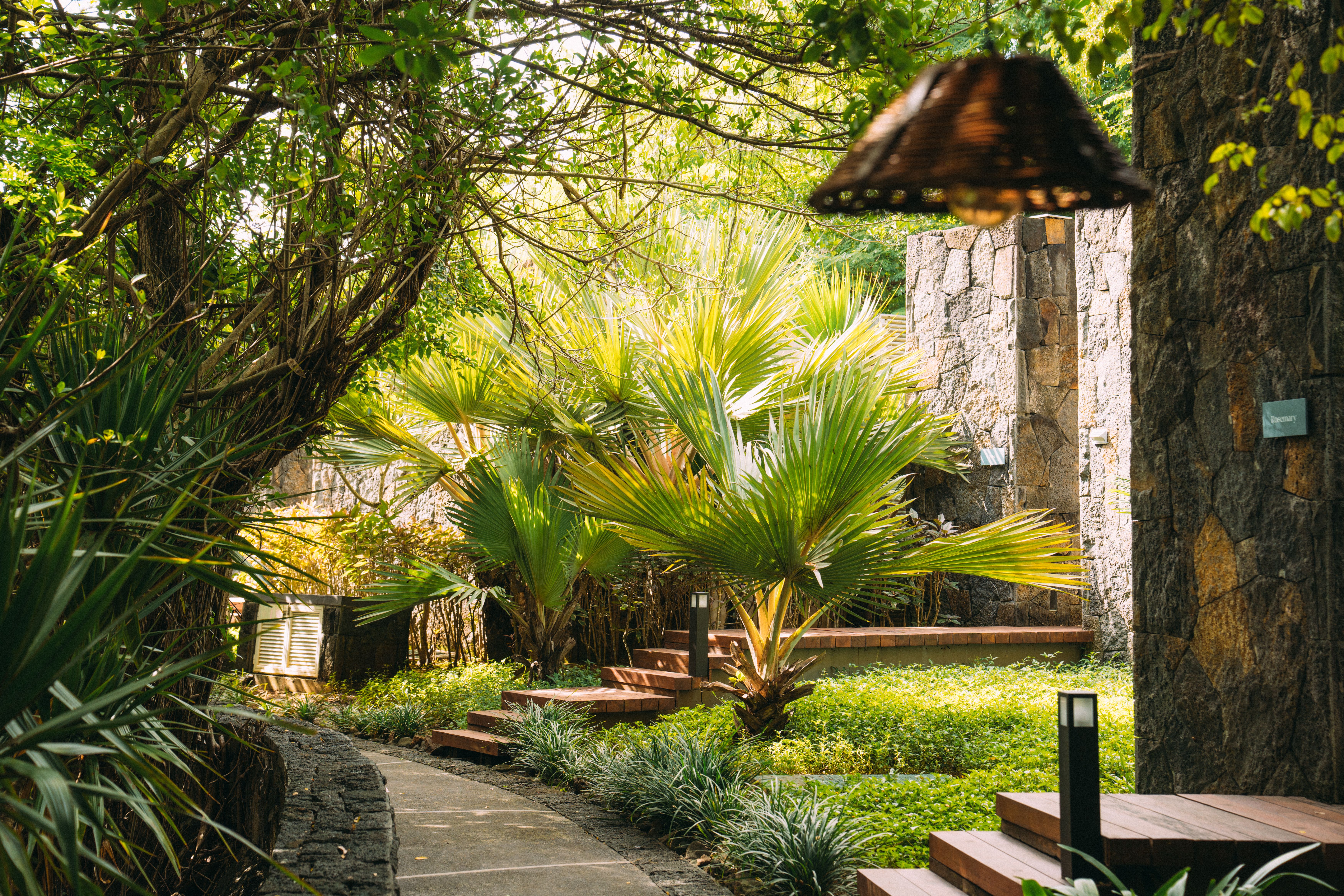 Galerie FOTO | Mauritius, vacanță la 25°C chiar și iarna. Cât costă un sejur și ce resort ți se potrivește - Poza 26