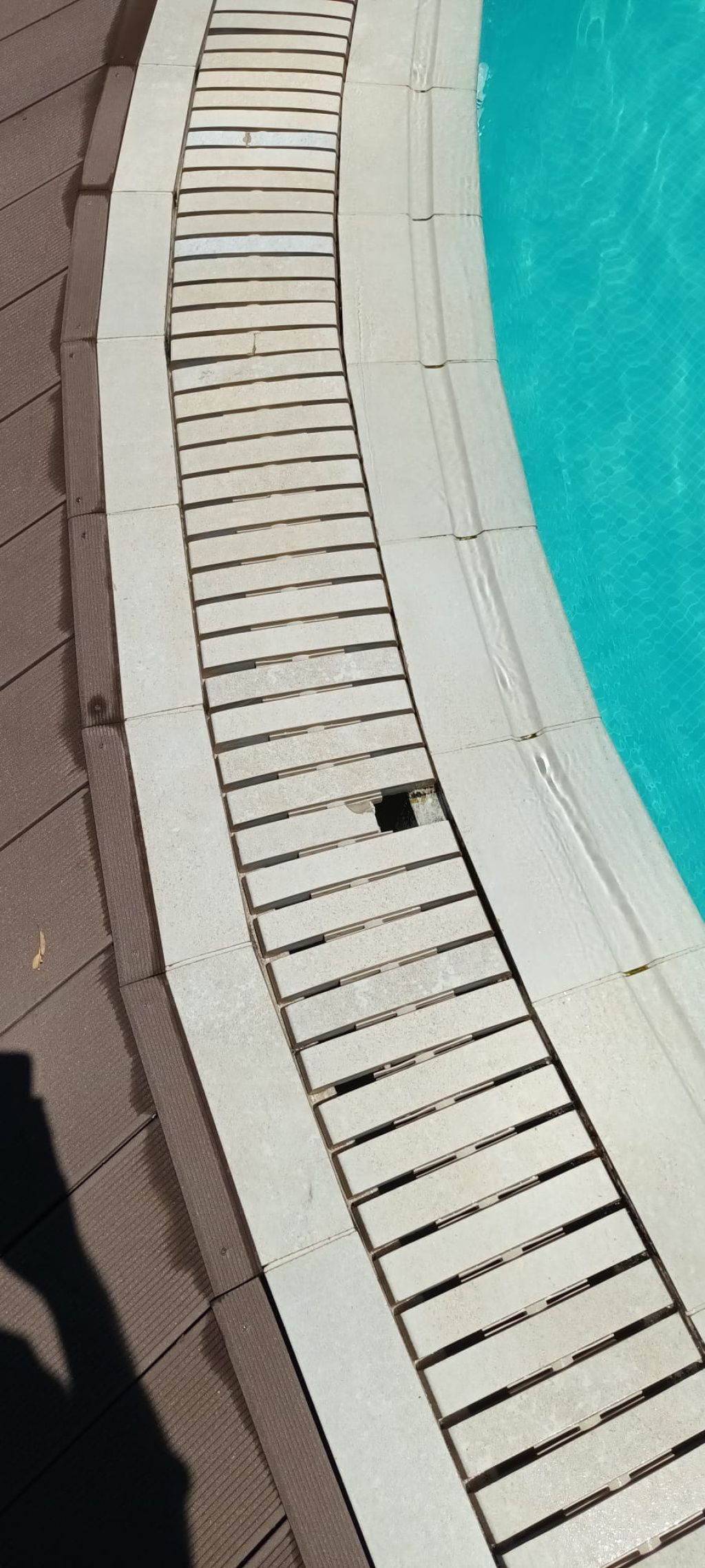 GALERIE FOTO | Piedone a ajuns pe litoral: Ce nereguli grave a descoperit ANPC în restaurantele și - Imagine 8