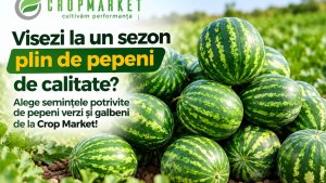 Visezi la un sezon plin de pepeni de calitate? Alege semințele potrivite de pepeni verzi și galbeni de la Crop Market!