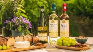 Cele mai vizibile branduri de vin în luna august. Domeniile Sâmburești, pe podium în acest top