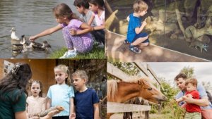 „Focus to green eco life” aduce natura mai aproape de comunitatea din București