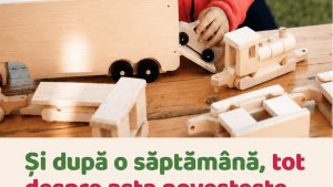 Lemniko – fabrica de jucării din lemn care transformă Școala Altfel și Săptămâna Verde în experiențe memorabile