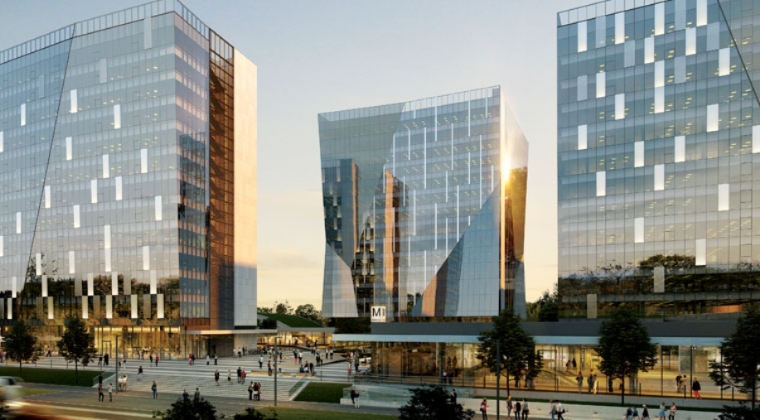 Amazon vine in Globalworth Campus