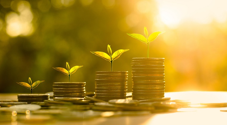 Erste Bond Flexible Romania EUR