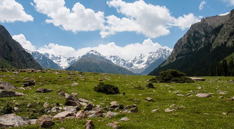 5. Kargazstan