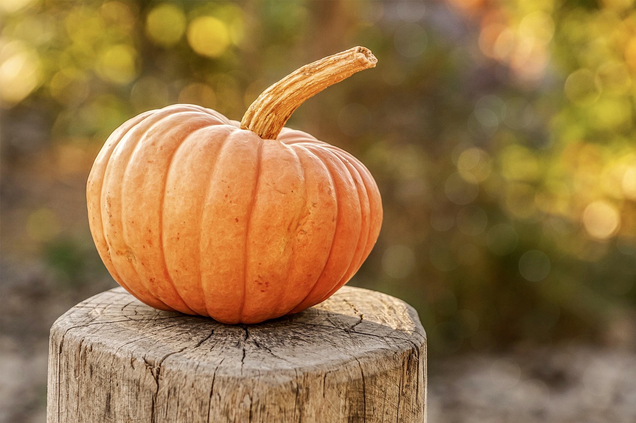 Pumpkin Fair