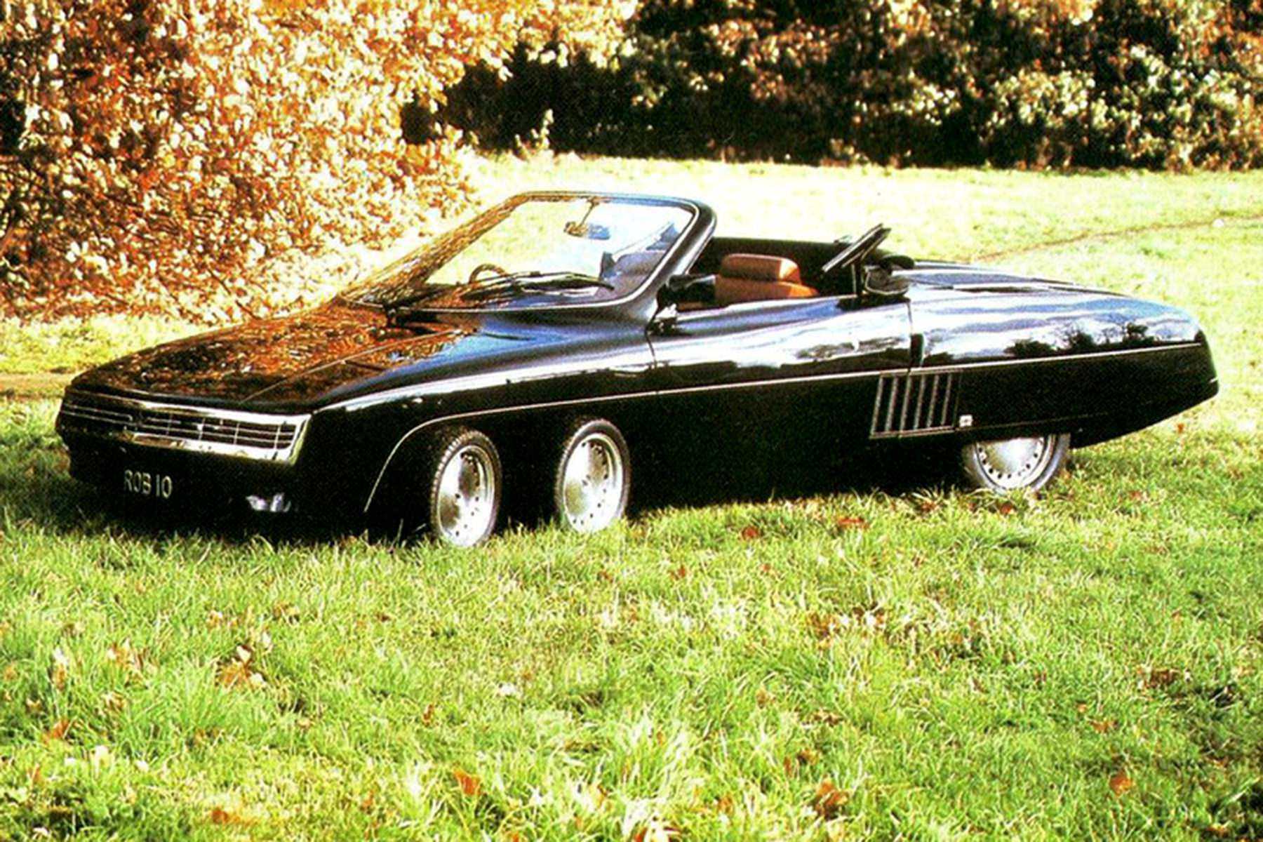Panther 6