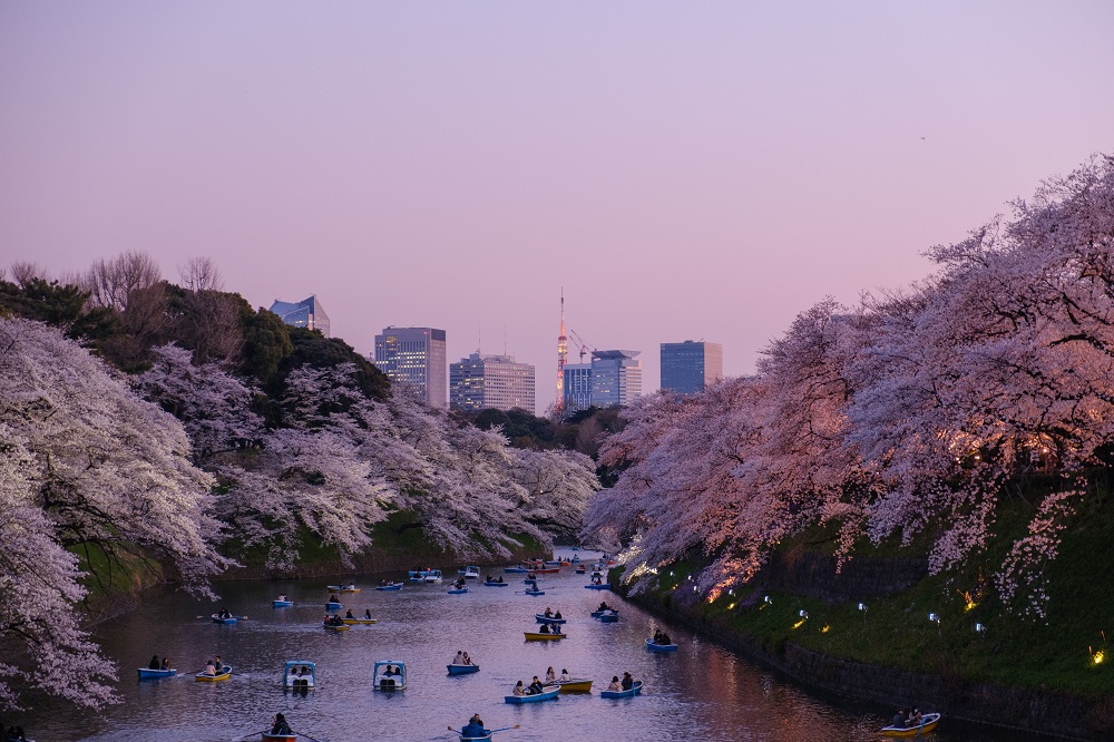 Tokyo, Japonia