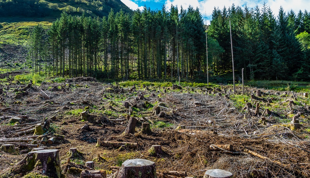 #8 O oportunitate pentru schimbările climatice