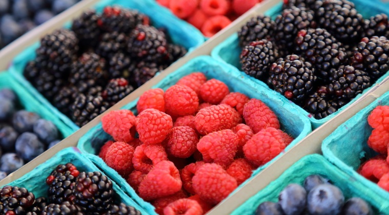 Afacere cu fructe de padure