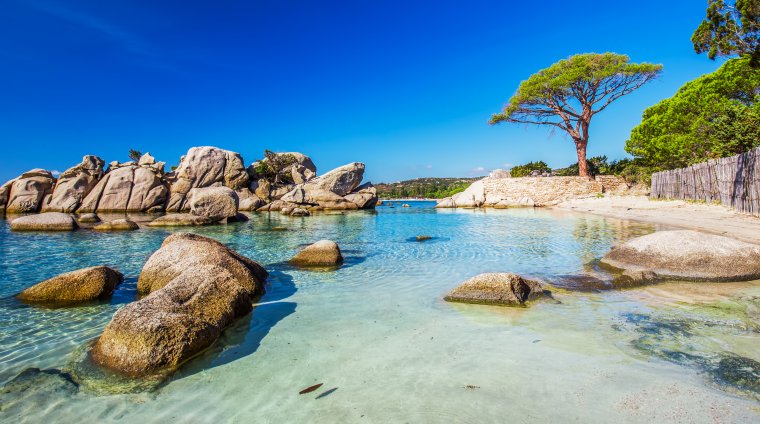 Corsica