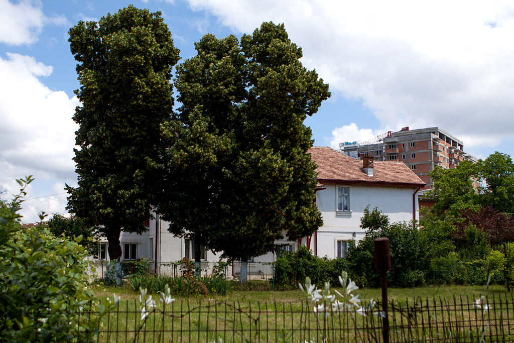 PLAY - Casa Arghezi- Mărțișor