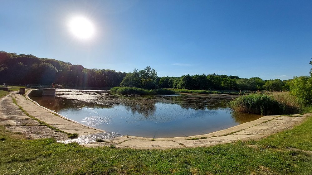 Grădina Botanică
