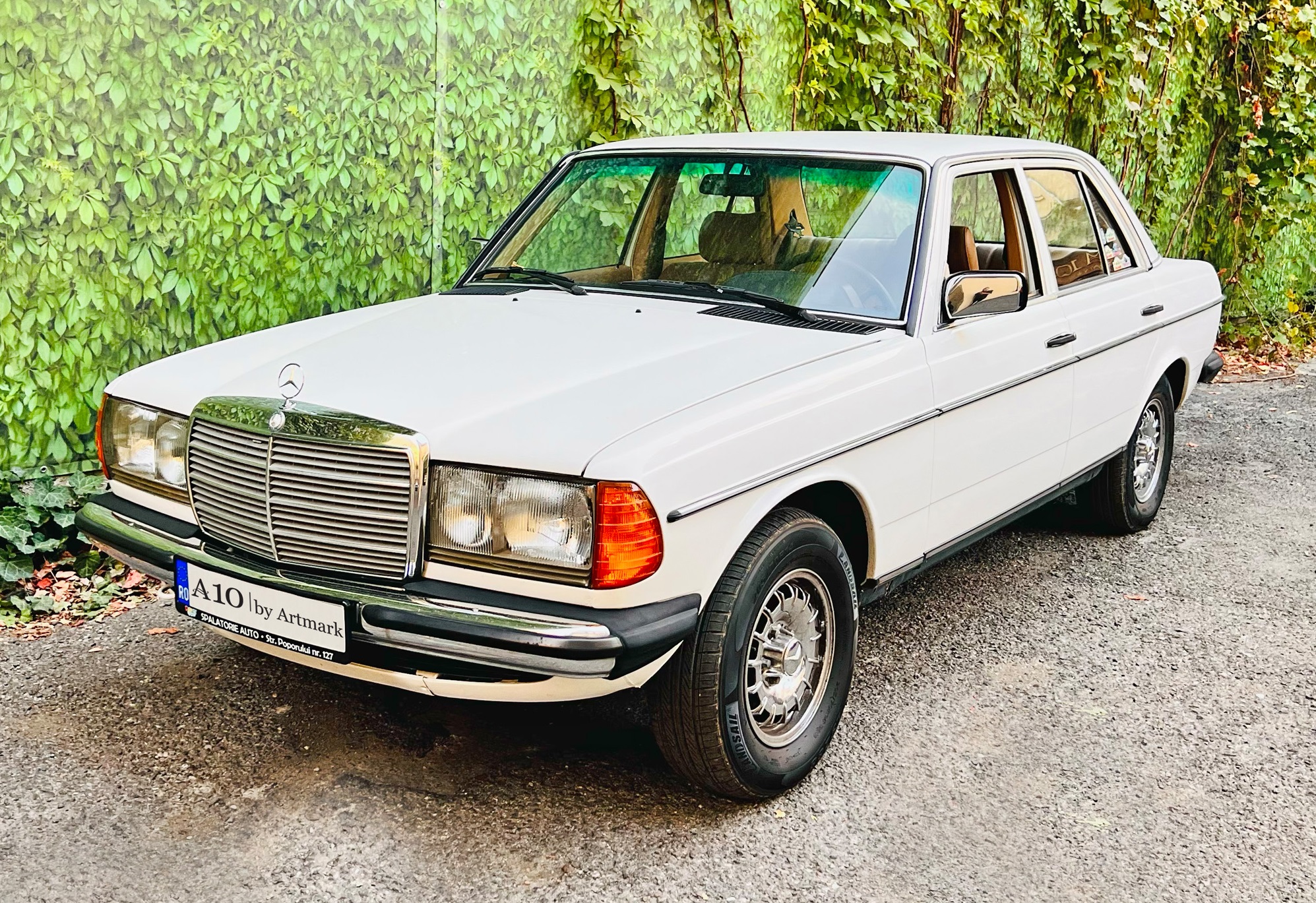 Mercedes W123 230E [1982]